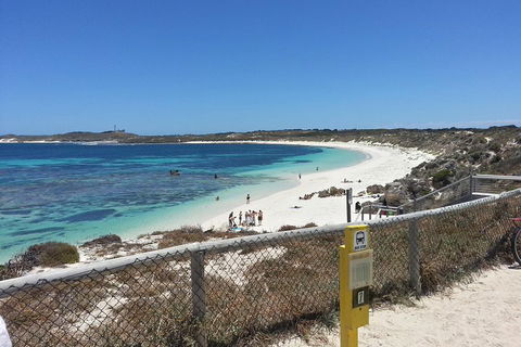 Wave Rock, Pinnacles And Rottnest One Day Aeroplane Tour - Accommodation Perth 2