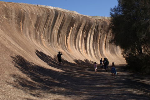 Wave Rock, Pinnacles And Rottnest One Day Aeroplane Tour - Accommodation Perth 4