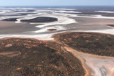 Helicopter Scenic: Lizard Safari - Accommodation Perth 5
