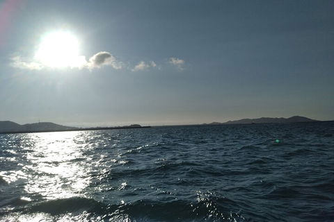 Townsville Small Group Early Morning Sailing Cruise Boat Tour Charter Hire - Accommodation Perth 4