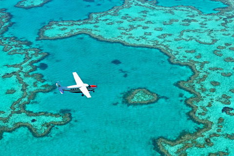 Reef And Island Scenic Flight From Airlie Beach - Accommodation Perth 4