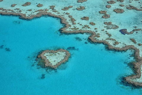 Reef And Island Scenic Flight From Airlie Beach - Accommodation Perth 5