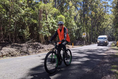 Mount Wellington Descent Cycling Tour Departs Hobart - Accommodation Perth 3