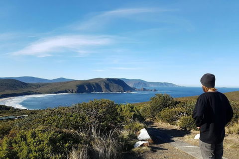 Small-Group Day Trip From Hobart To Bruny Island - Accommodation Perth 0