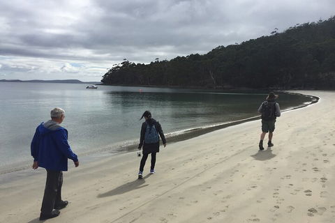 Small-Group Day Trip From Hobart To Bruny Island - Accommodation Perth 1