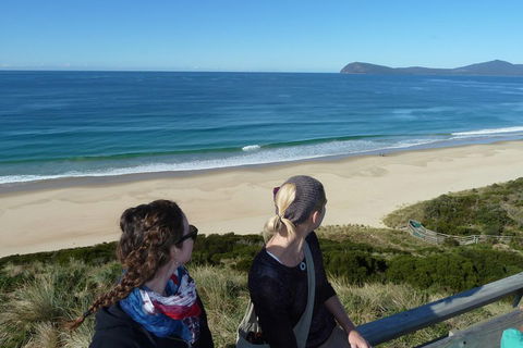 Small-Group Day Trip From Hobart To Bruny Island - Accommodation Perth 3