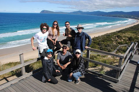 Small-Group Day Trip From Hobart To Bruny Island - Accommodation Perth 4