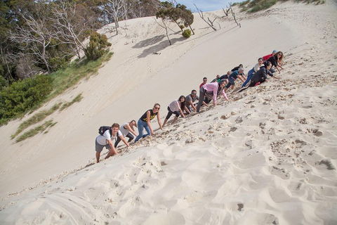 6-Day Tasmanian Explorer Adventure Tour From Hobart - Accommodation Perth 2