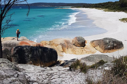 2-Day Tas East Coast Escape Tour Including Bay Of Fires, Wineglass Bay & Devils - Accommodation Perth 4