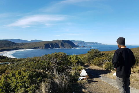 4-Day Fabulous Tasmania Tour: Wineglass Bay, Port Arthur, Devils & Bruny Island - Accommodation Perth 0