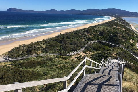 4-Day Fabulous Tasmania Tour: Wineglass Bay, Port Arthur, Devils & Bruny Island - Accommodation Perth 5