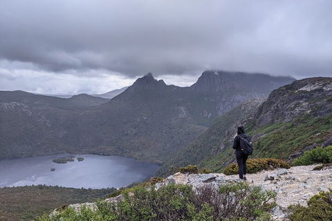 5-Day Best Of Tasmania Tour From Hobart - Accommodation Perth 3