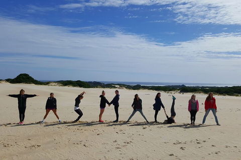 5-Day Best Of Tasmania Tour From Hobart - Accommodation Perth 4