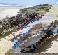 3 Day Tasmanian Wild West Coast Tour from Hobart to Launceston - Accommodation Perth