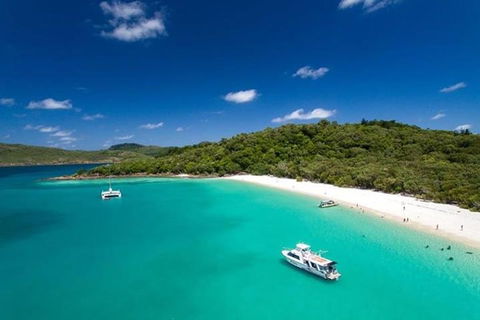 Whitehaven Beach And Hill Inlet | Awesome Beach BBQ | Family Friendly - Accommodation Perth 3