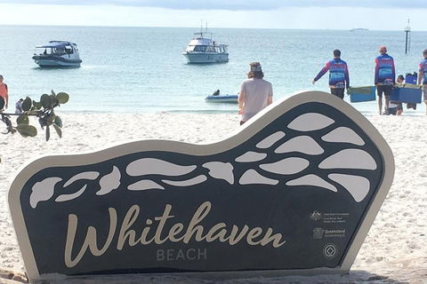 Whitehaven Beach And Hill Inlet | Awesome Beach BBQ | Family Friendly - Accommodation Perth 5