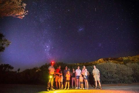 Alice Springs Desert Park Nocturnal Tour - Accommodation Perth 2