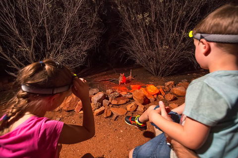 Alice Springs Desert Park Nocturnal Tour - Accommodation Perth 4