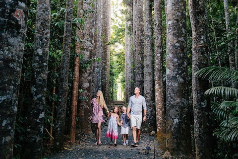The Original Day Tour To Paronella Park, Lake Barrine And Millaa Millaa Falls - Accommodation Perth 1