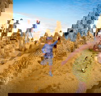 Full-Day Pinnacles Desert and Yanchep National Park Tour From Perth - Accommodation Perth