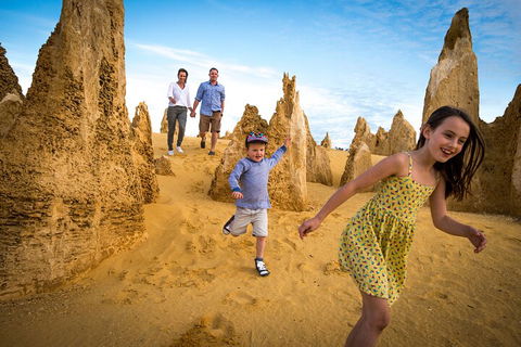 Full-Day Pinnacles Desert And Yanchep National Park Tour From Perth - Accommodation Perth 0