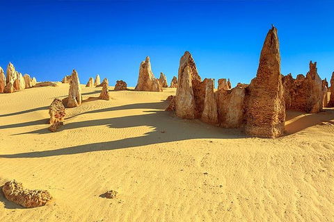 Full-Day Pinnacles Desert And Yanchep National Park Tour From Perth - Accommodation Perth 2