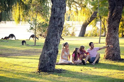 Full-Day Pinnacles Desert And Yanchep National Park Tour From Perth - Accommodation Perth 3