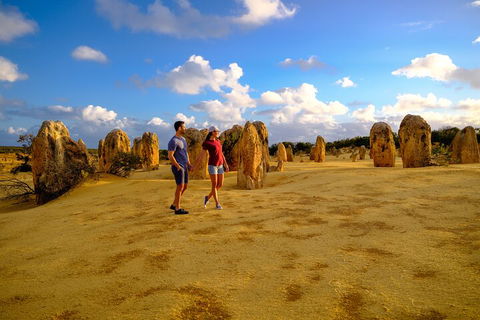 Full-Day Pinnacles Desert And Yanchep National Park Tour From Perth - Accommodation Perth 4