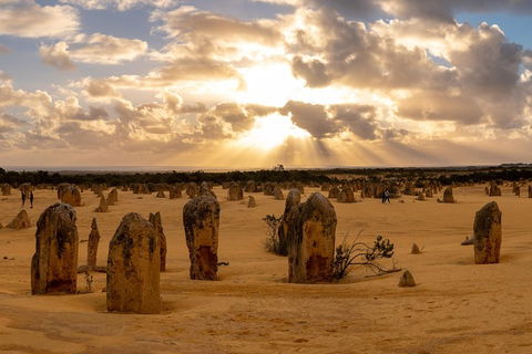 Half Day Pinnacles Sunset Tour - Accommodation Perth 0