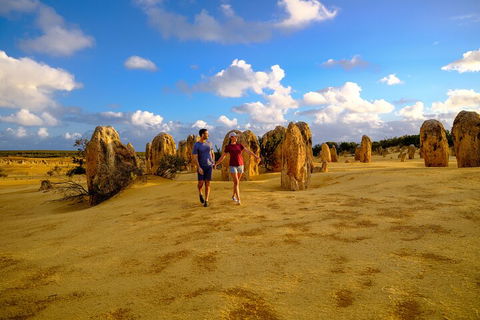 Half Day Pinnacles Sunset Tour - Accommodation Perth 1