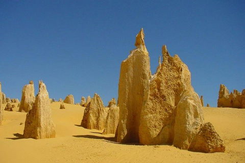 Half Day Pinnacles Sunset Tour - Accommodation Perth 2