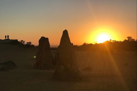 Half Day Pinnacles Sunset Tour - Accommodation Perth 3