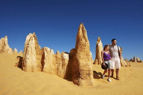 Half Day Pinnacles Sunset Tour - Accommodation Perth 4