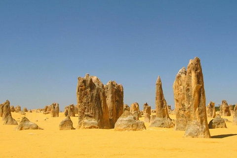 Half Day Pinnacles Sunset Tour - Accommodation Perth 5