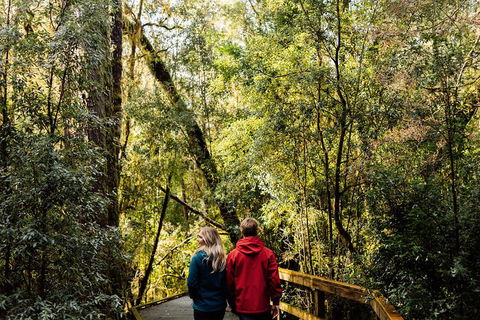 Gordon River Cruise Departing From Strahan - Accommodation Perth 2