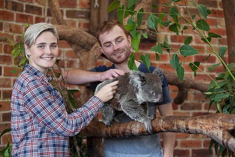 Private Tour: Blue Mountains Day Trip From Sydney - Accommodation Perth 0
