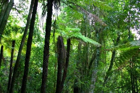 Private Tour: Blue Mountains Day Trip From Sydney - Accommodation Perth 4