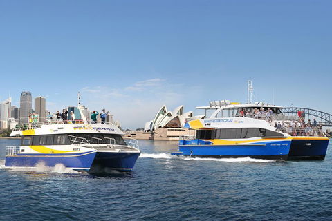 Go City | Sydney Explorer Pass With 20+ Attractions And Tours - Accommodation Perth 5