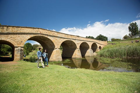 Bonorong Wildlife Park And Richmond Afternoon Tour From Hobart - Accommodation Perth 2