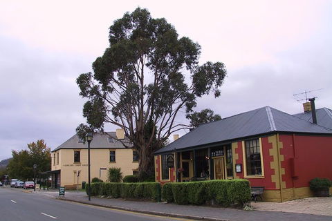Bonorong Wildlife Park And Richmond Afternoon Tour From Hobart - Accommodation Perth 3