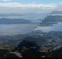 Mt Wellington Tour and MONA Admission - Accommodation Perth