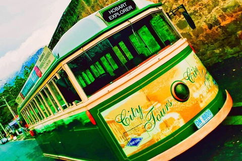 Hobart Half-Day Sightseeing Coach Tram Tour - Accommodation Perth 5