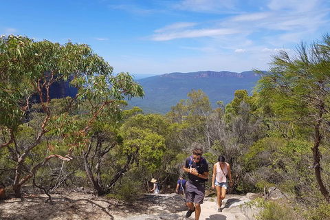 Blue Mountains Unique Small-Group Day Adventure With BBQ Lunch - Accommodation Perth 3