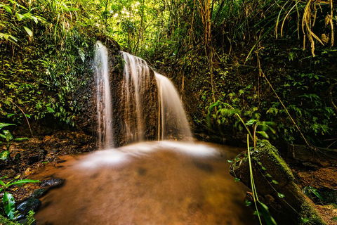 Paronella Park Admission Ticket - Accommodation Perth 5