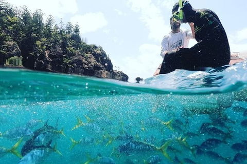 2 Night Small Group Whitsundays Sailing Adventure Aboard Mandrake - Accommodation Perth 5