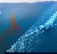 2-Night Whitsunday Islands Sailing Adventure on Trimaran Avatar - Accommodation Perth