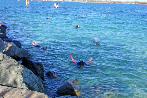 Wave Break Island Scuba Diving On The Gold Coast - Accommodation Perth 1