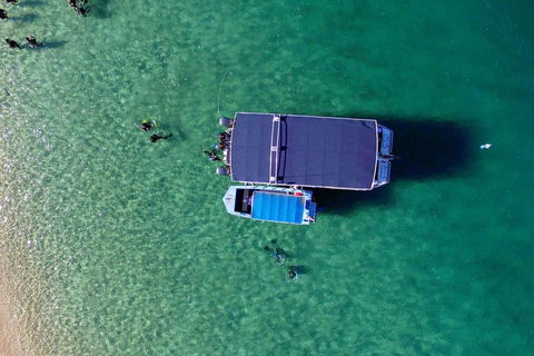 Wave Break Island Scuba Diving On The Gold Coast - Accommodation Perth 2