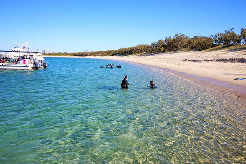 Wave Break Island Scuba Diving On The Gold Coast - Accommodation Perth 4