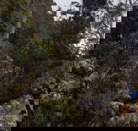 kunanyi / Mt. Wellington Guided Hiking Tour - Accommodation Perth